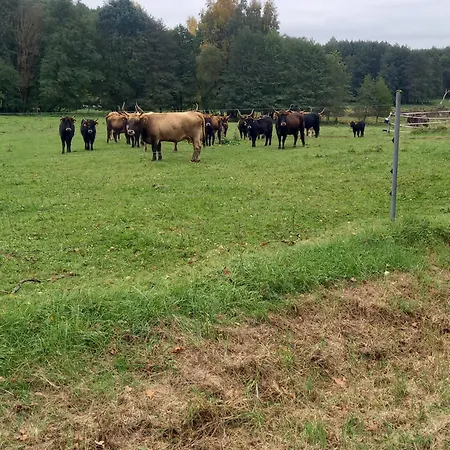 Am Pinzigberg * Degelsdorf