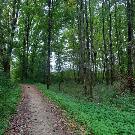 Lejlighed Am Pinzigberg Degelsdorf